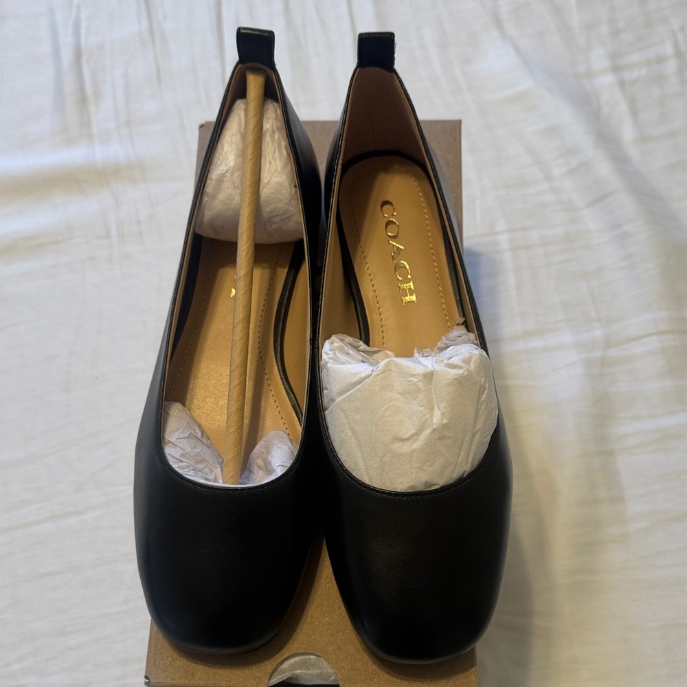 Coach Wendie Leather Ballet Flats